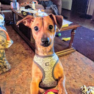 Meet your Posher, James